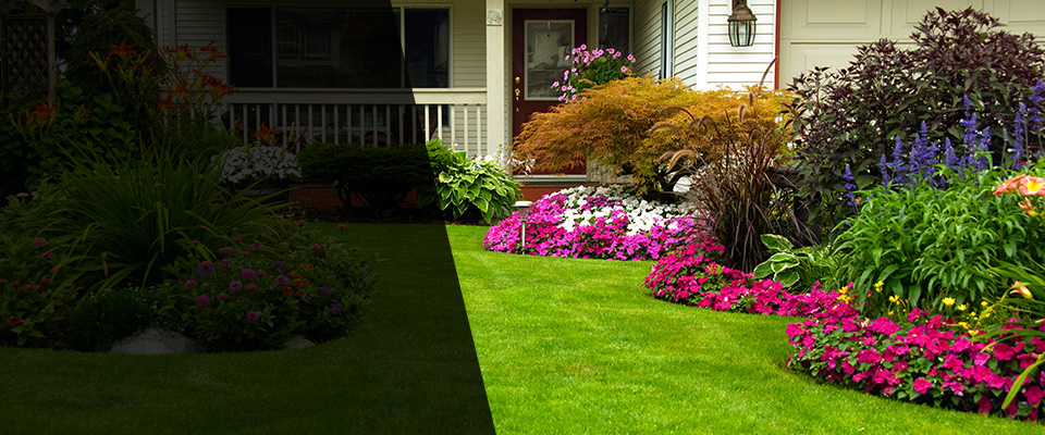Trevor Landscapers